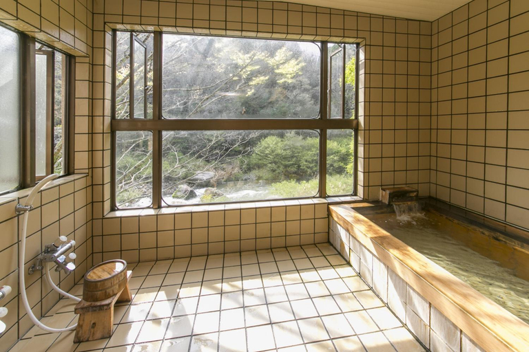 Bathroom, Ryori Ryokan Shikanoyu, Ena