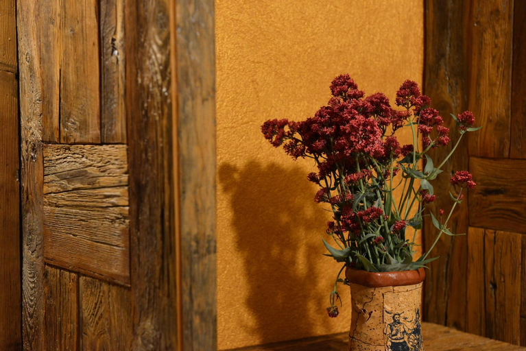 Others 2, Vecchio Mulino Guest House, Aosta