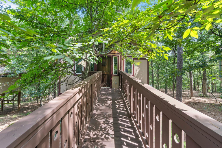 Others 4, The Grand Treehouse Resort, Carroll