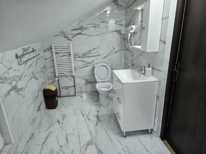 Bathroom 3, Casa Vivian, Baile Herculane