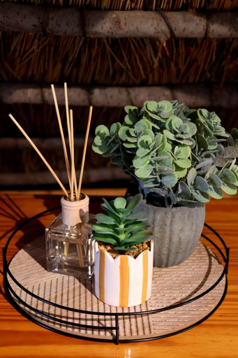 Food & Drinks 5, Heiveld Farm Cottages, Cape Winelands
