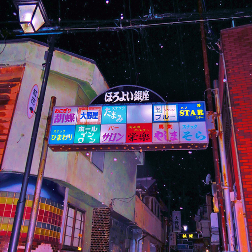 Others 3, Chuo Hotel 中央ホテル, Chikuma