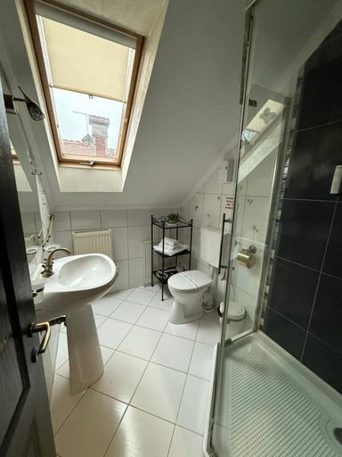 Bathroom, Pensiune Turistica Tosca, Bacau