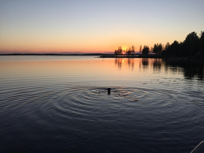 Others 3, Villa koivula, North Karelia
