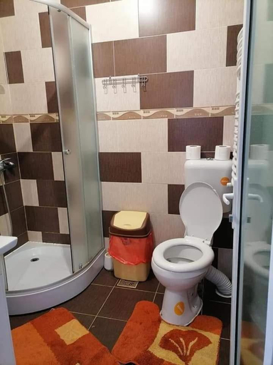 Bathroom 5, Pensiunea Brezu, Rona De Jos