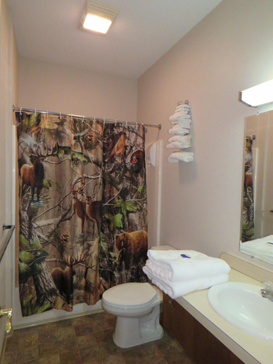 Bathroom 5, Tug Hill Resort, Oswego