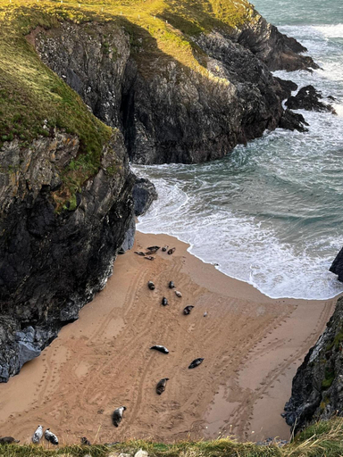 Others 5, St Kew Escapes Nr Port Isaac, Cornwall