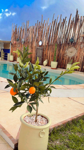 Sport & Beauty 2, Villa Aloe Vera Privee, Essaouira