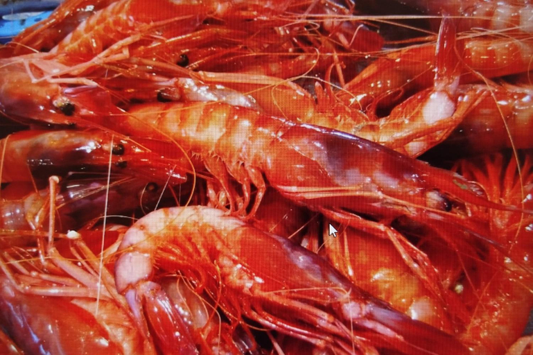 Food & Drinks, Casa Marinera en Palamos, Girona