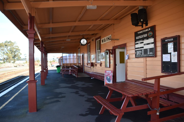 Others 5, Trailblazer Studios, Hauraki