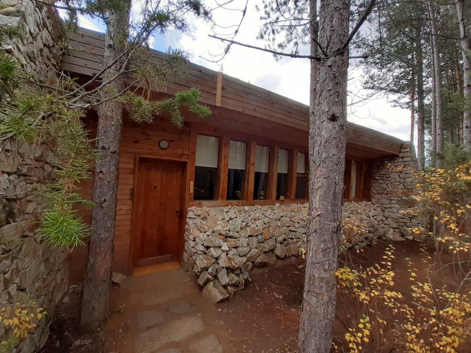 Primary image