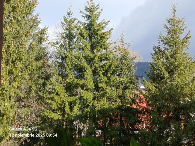 Others 5, Casa Montana Busteni, Busteni