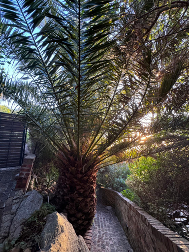 Others 4, The Gekko Lodge, City of Cape Town