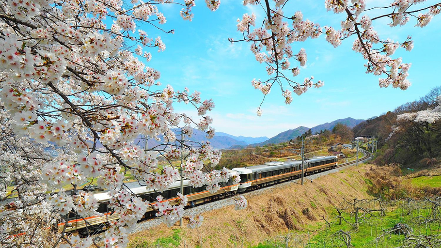 Others 4, Chuo Hotel 中央ホテル, Chikuma