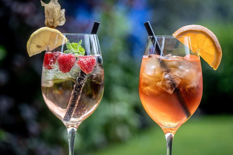 Food & Drinks 5, Alpengasthof Pichler, Lienz