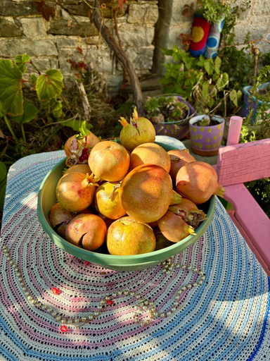 Food & Drinks, Morfeas Guesthouse, Epirus