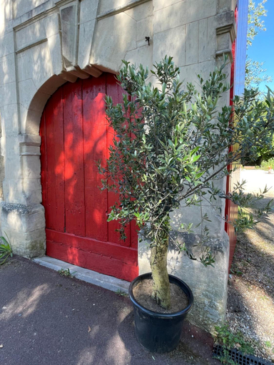 Others 5, Le Manoir des Doyens, Calvados