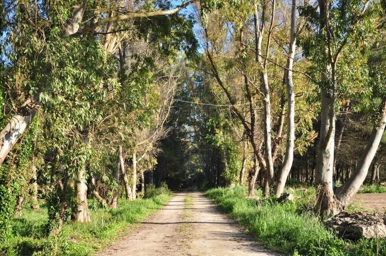 Miscellaneous 4, Poesis Park Glamping, Lecce