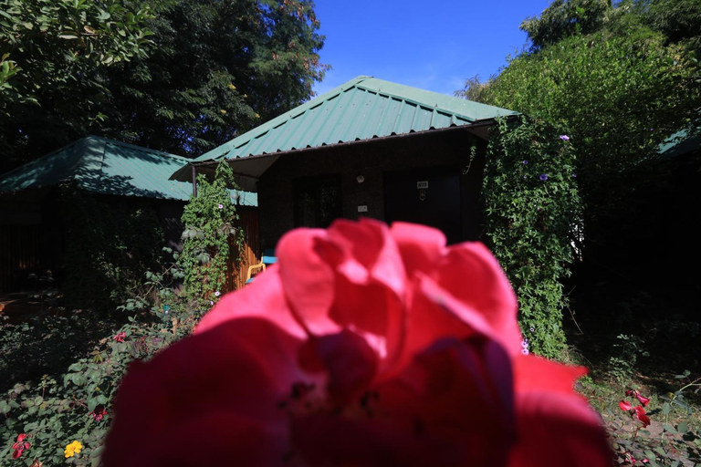 Exterior & Views 1, Jungle View Resort Ranthambhore, Sawai Madhopur