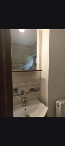 Bathroom 2, Pensiunea Costesti, Orastioara De Sus