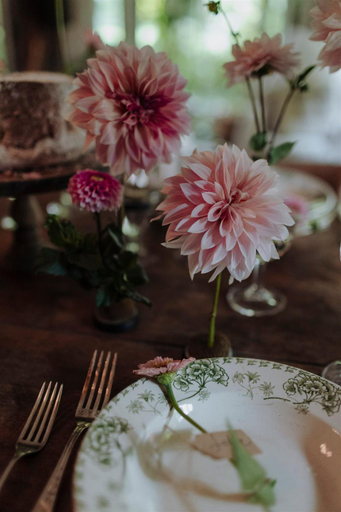 Food & Drinks 4, B&B CUCUTI, Piacenza