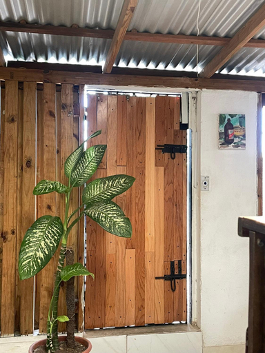 Others 5, Ragamuffin Hostel