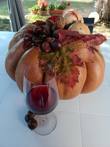 Food & Drinks 5, Lory, Pescara