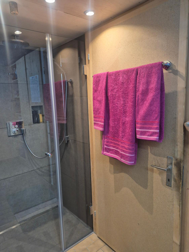 Bathroom 3, B&B Stiffler-Huus, Prättigau/Davos