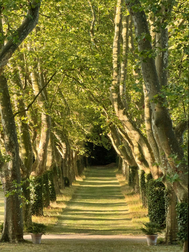 Others 5, La Suite de la Bastide, Aude