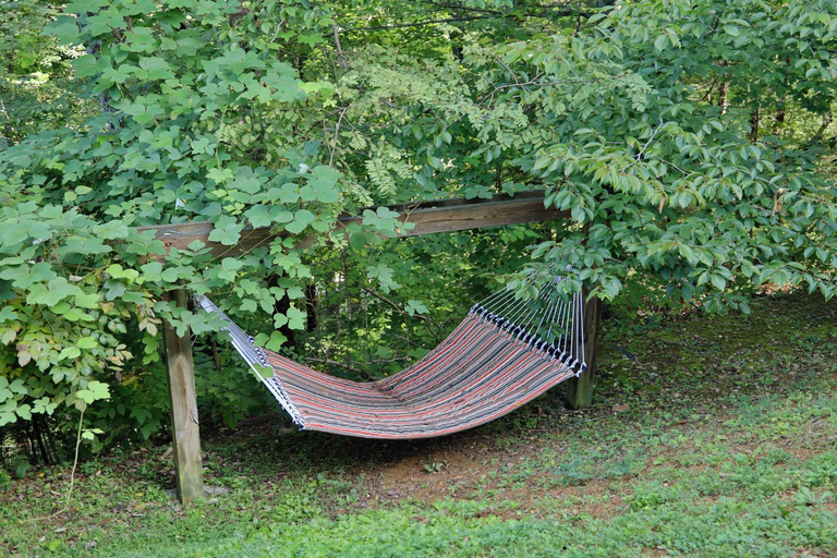 Others 5, The Perfect location for your Mountain getaway, Sevier