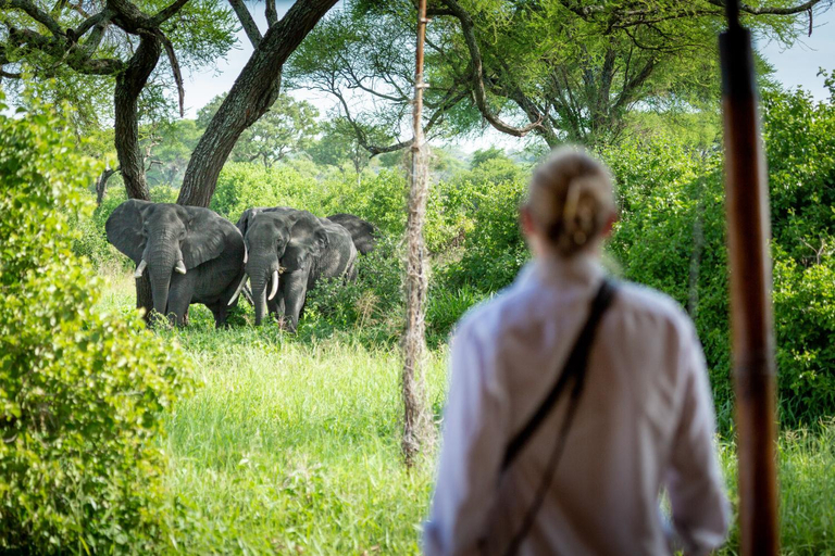 Others 3, Baobab Tented Camp, Babati