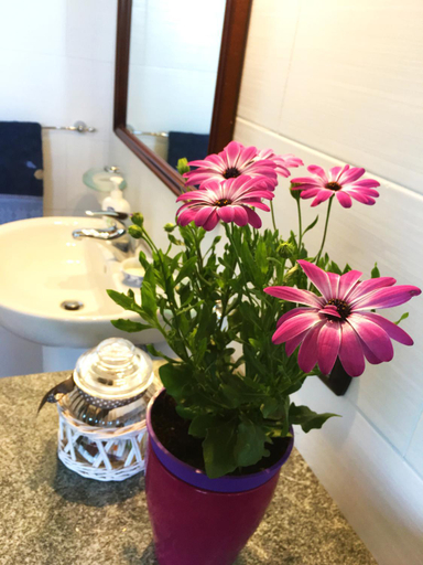 Bathroom 3, Agriturismo Sa Domo de s'Olia, Sassari