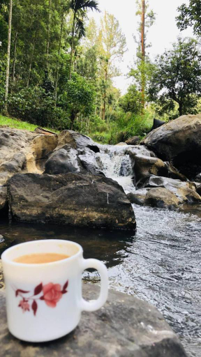 Food & Drinks 5, Kwality Estate, Kodagu