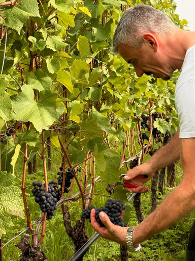 Food & Drinks 3, Hotel Landgasthof Weingut Seeperle, Bolzano