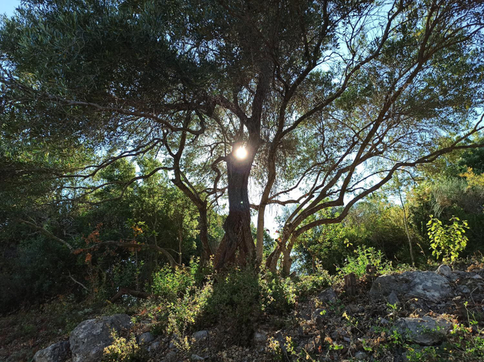 Others 3, Blue & Green Apartments , Dassia - Corfu 1&2-3&4, Ionian Islands