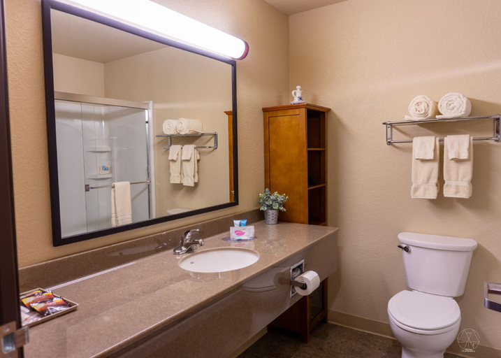 Bathroom 2, Newcastle Lodge & Convention Center, Weston