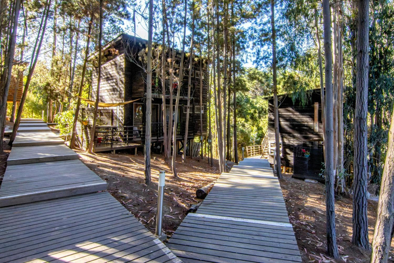 Others 5, Lodge Terra Mar, Cardenal Caro