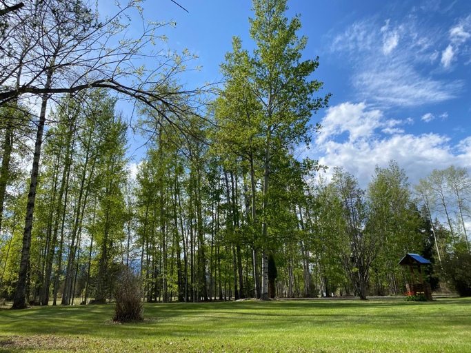 Others 5, Cougar Mountain Lodge and Resort Cabin Rentals, Fraser-Fort George