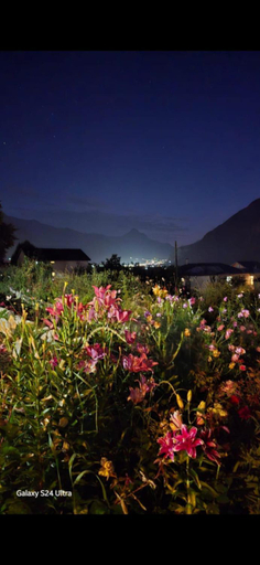 Others 4, Lia Khaikashvili Guest House, Kazbegi