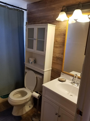 Bathroom 4, Two Rivers Inn, Hot Springs