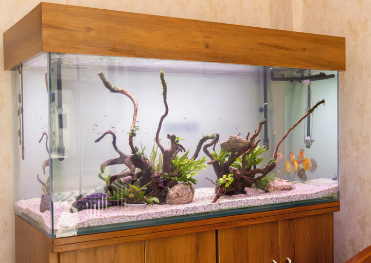 Interior 2, The Wilsons Hotels & Resorts, Bangalore