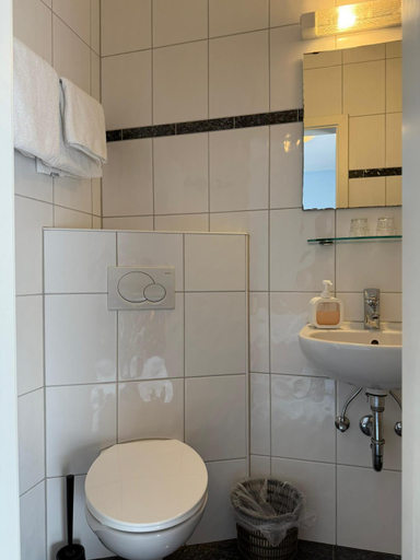 Bathroom 2, SVG Hotel Diversi, Ludwigshafen am Rhein