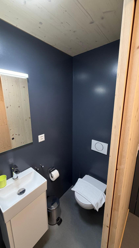 Bathroom 2, Hotel & Restaurant Zum Schwarzen Baren, Uri