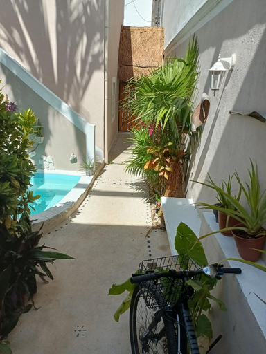 Sport & Beauty, Kika Studios, Cozumel