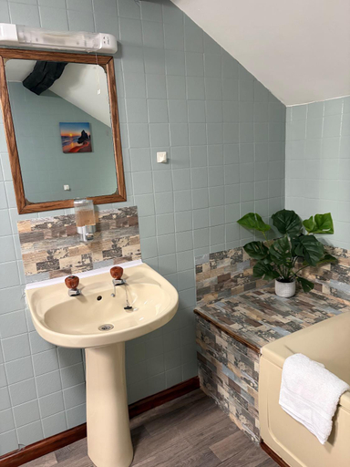 Bathroom 3, The Black Swan Inn, Herefordshire