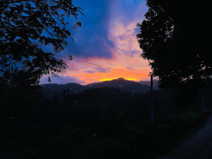 Others 5, Nine Arch Homestay, Ella