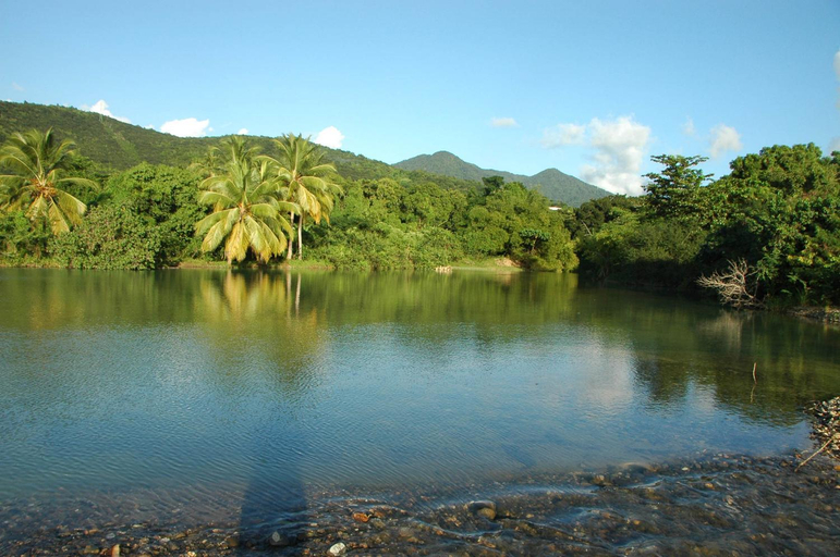 Surrounding environment 4, Ma cabane perchee Gite du Manial, Pointe-Noire