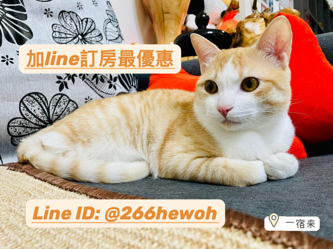 Others 4, One Stay Homestay, Hualien