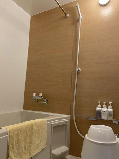 Bathroom 3, Hotel Sawaya, Hokota
