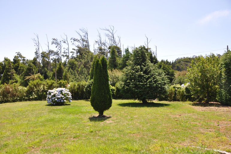 Garden 4, Luxury VILLA CAMELIA. Mountains, golf, horses, levada walks., Santa Cruz